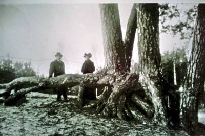 alte Fotoaufnahme von Kuckucksstuhl