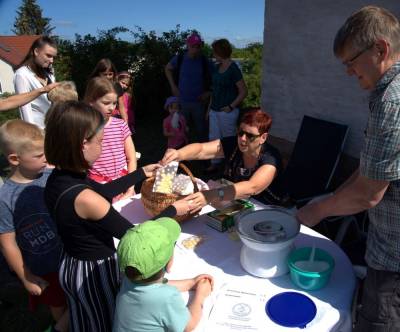 Verkauf von Zuckerwatte
