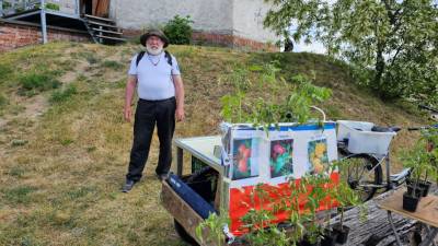 Es wurden auch regionale Produkte, wie Tomatenpflanzen angeboten.