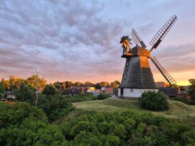 Holländerwindmühle in Jerichow

Foto: Björn Menzel