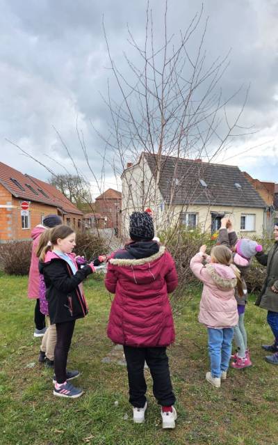 Teilnehmer des Ostereierbaumschmückens in Jerichow